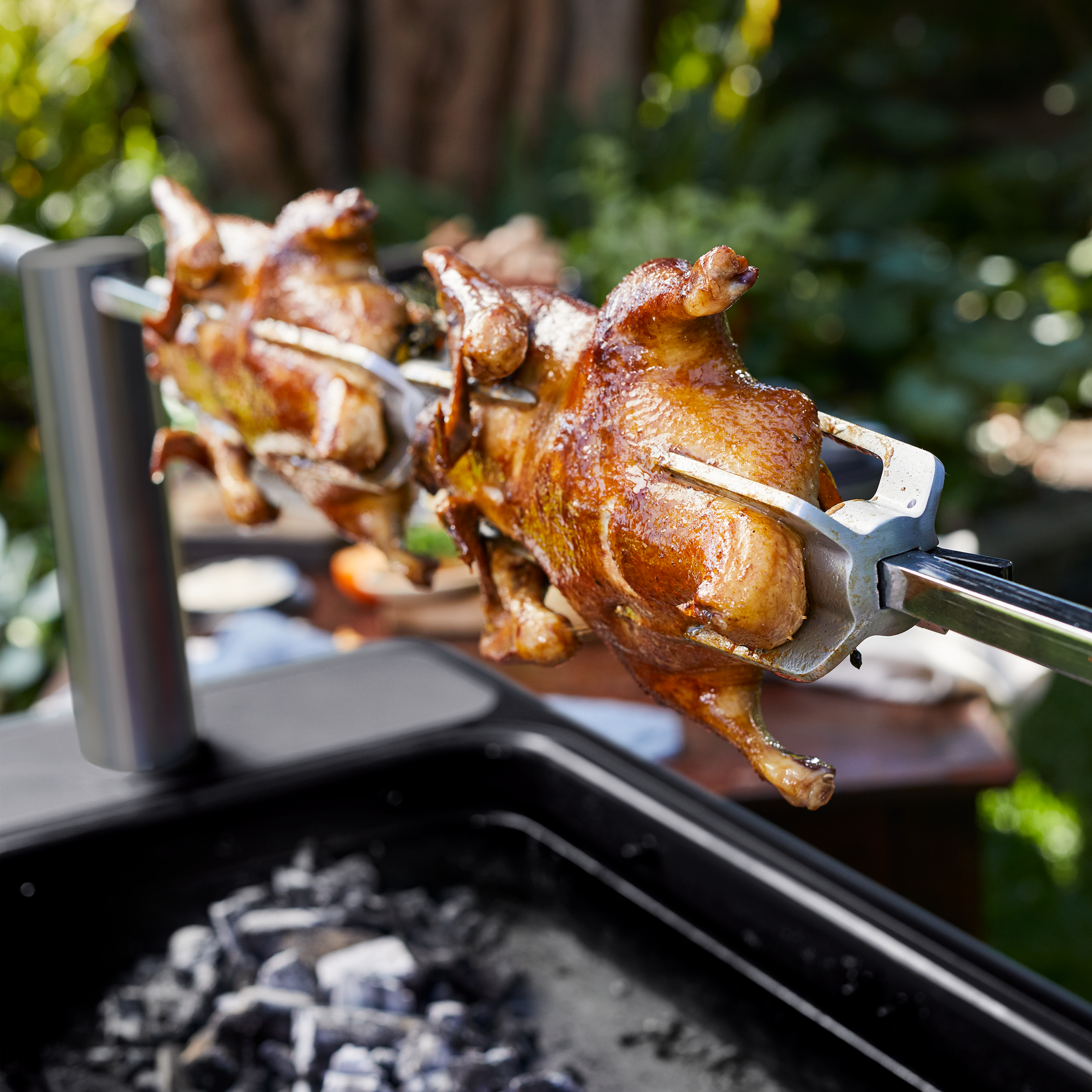 HUB II Rotisserie Duck