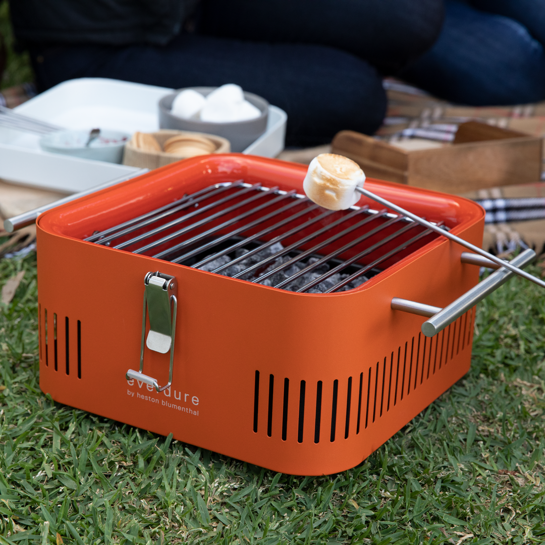 BBQ Rack & Skewers